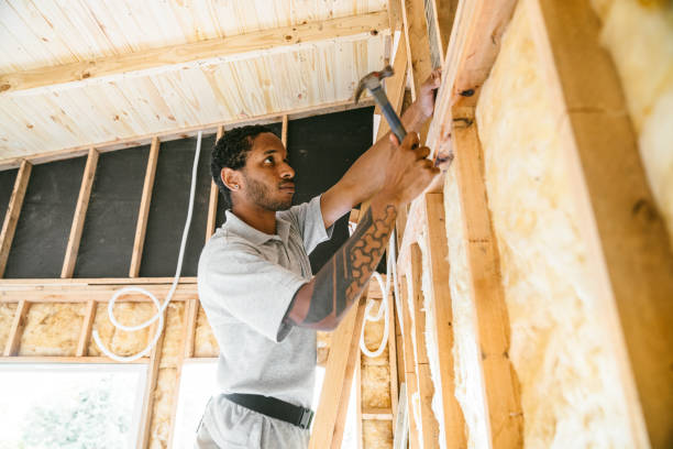 Best Insulation Contractors for Homes  in Prophetstown, IL