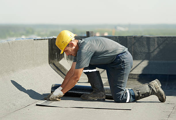 Best Insulation Inspection Services  in Prophetstown, IL