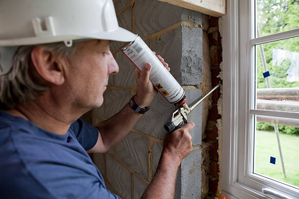 Best Local Insulation Services  in Prophetstown, IL